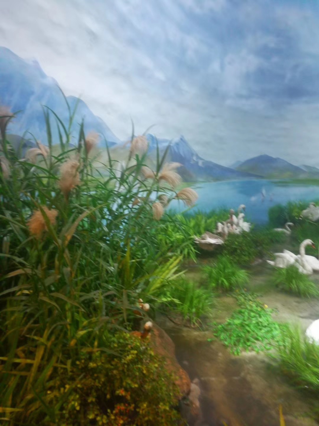 Bionic reed, pink muhly grass, sunny grass, indoor decorative green plants, potted plants, simulation plants, wedding props, decorative dogtail grass pic 26