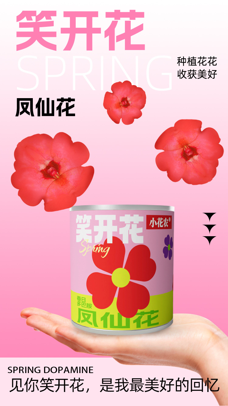 小学生科教玩具春天儿童种植迷你小盆栽花卉室内桌面种花易拉罐头详情4