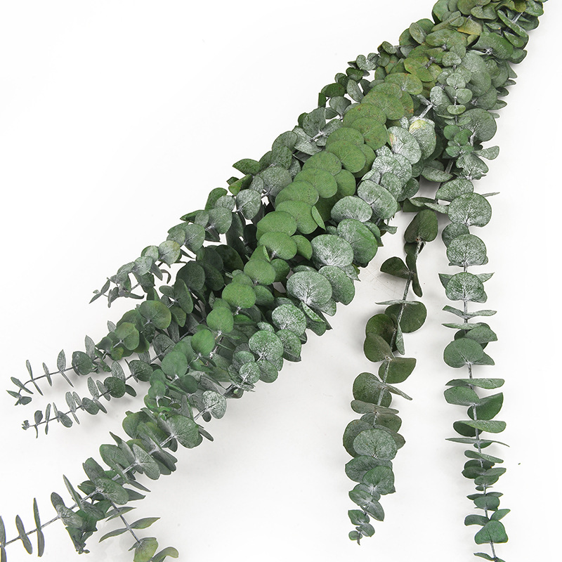 尤加利叶 批发圣诞节礼物花材铜钱桉永生苹果叶家居装饰                                  详情6