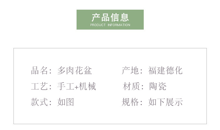 陶瓷花盆跨境白瓷多肉植物小花盆批发简约园艺多肉盆可印LOGO厂家详情3