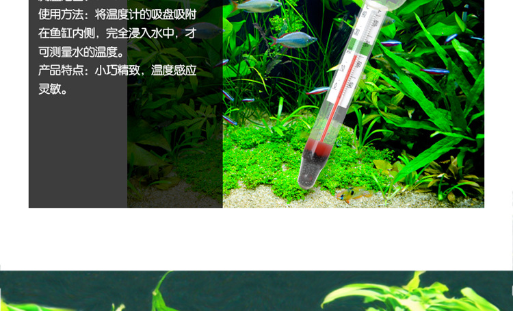 Wholesale of Baojie fish tank thermometers, high-precision aquariums, submersible LCD water temperature gauges, and digital suction cup thermometers pic 8