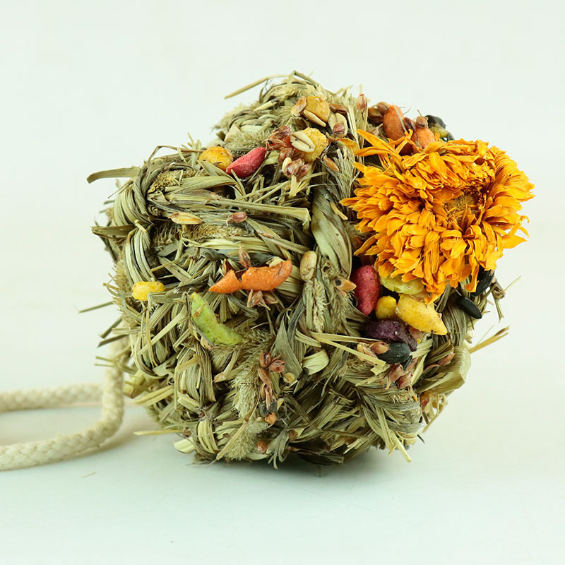 清仓22年现货玉米 饲料主粮兔子仓鼠磨牙小玉米 仓鼠玉米宠物用品详情35