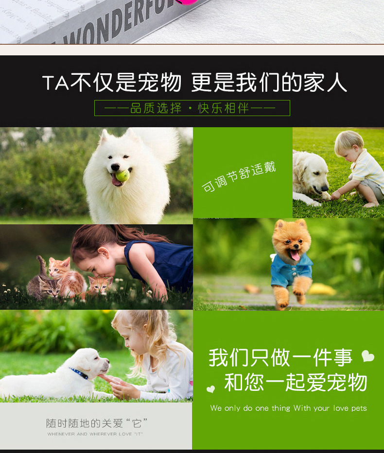 The manufacturer has a new type of fluorescent silicone collar in stock. It is a luminous collar for cats and dogs to prevent loss during night outings. It is available for self-pickup only pic 16