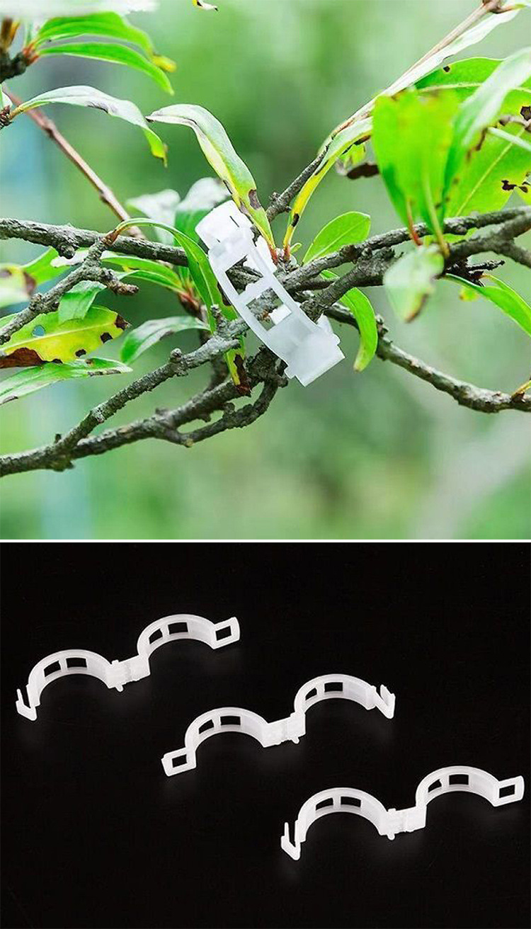 扶蔓夹绑蔓夹吊秧卡扣绿植夹藤蔓固定夹辣椒茄子固定器秧苗植物夹详情12