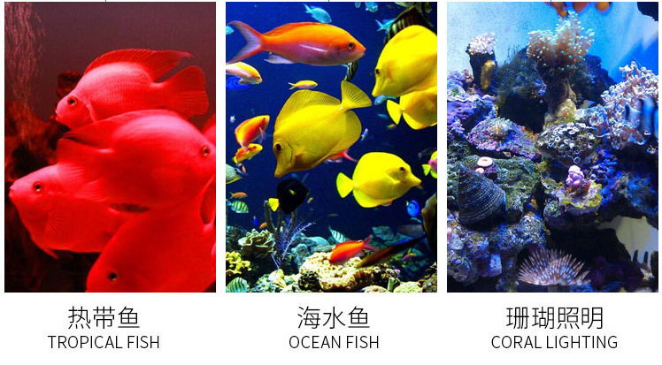 Aquarium fish tank lighting fixtures, crystal fish tank clamps, aquarium LED lights, various sizes of small clamps pic 5