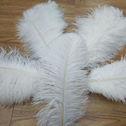 The feather fan is a special prop for the dance performance of the ostrich-colored feather fan used by the palace film crew pic 8