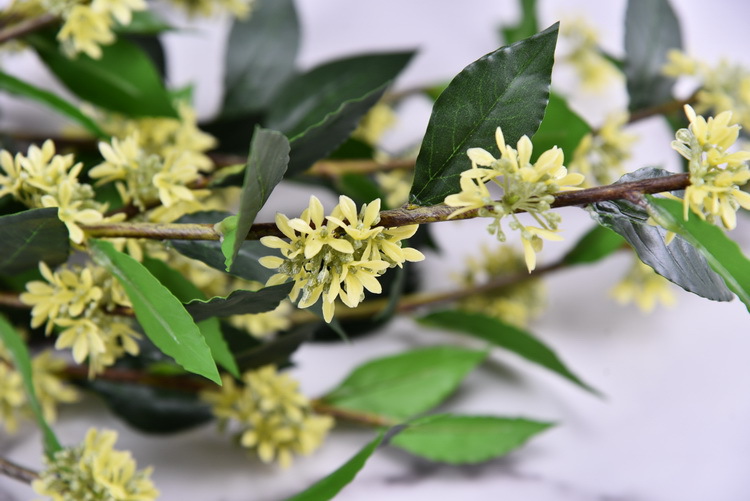 Wholesale artificial yellow osmanthus and laurel, green landscape garden artificial trees, decorative golden osmanthus leaves, home, hotel and homestay artificial flowers pic 20
