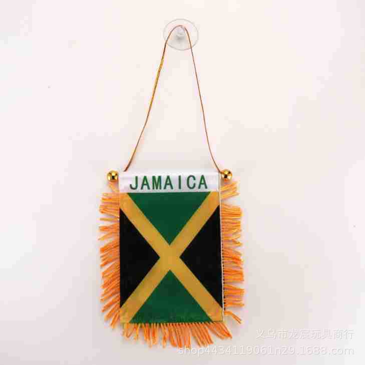 海地小锦旗 世界各国迷你小旗8*12cm双面流苏吸盘交换旗批发详情3