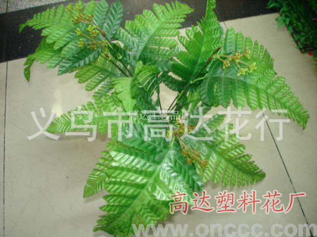 Artificial fern grass, Persian grass green, leaf green grass, row grass, artificial green plants, artificial plants, plant wall accessories, artificial grass, artificial flowers, artificial lawns, artificial trees, artificial vines, artificial flowers, artificial green pic 19