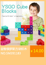 新款SM391183儿童益智俄罗斯方块积木 启蒙早教魔方拼装积木玩具