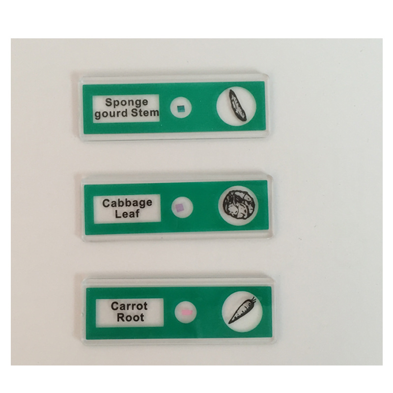 Customizable biological specimen cutting and microscope specimen slides for primary and secondary school students pic 5