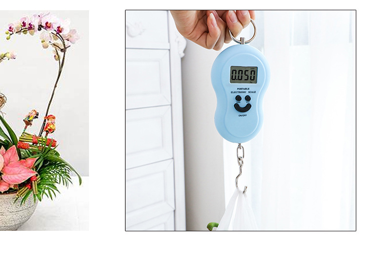 手提电子秤批发家用手提电子称便携式手提秤迷你手提称快递称克秤详情6
