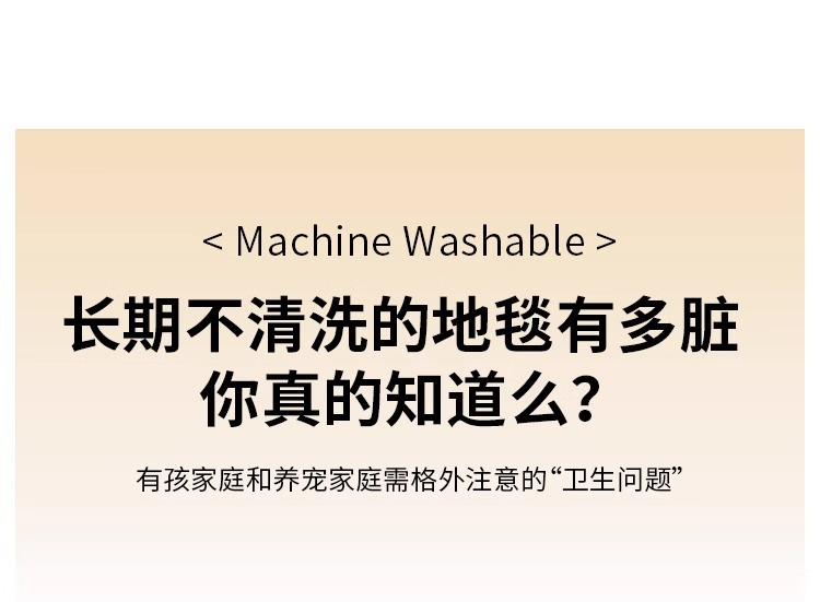 可机洗地毯客厅2024新款秋冬卧室水洗房间床边茶几地垫免洗可擦详情6