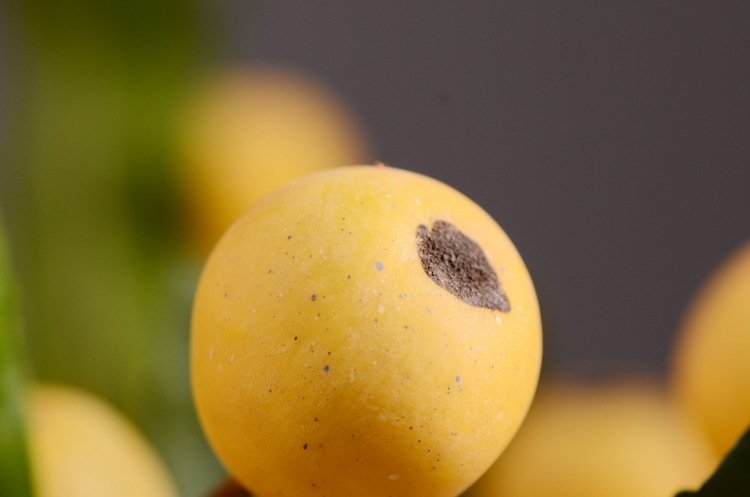 Factory direct sales of artificial loquat fruit branches, Chinese modern and simple soft decoration, artificial berries wholesale, prosperity fruit pic 5