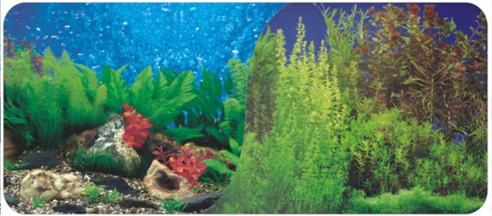60cm double-sided thick fish tank background painting aquarium decoration background painting can be customized for multiple types of aquariums pic 4