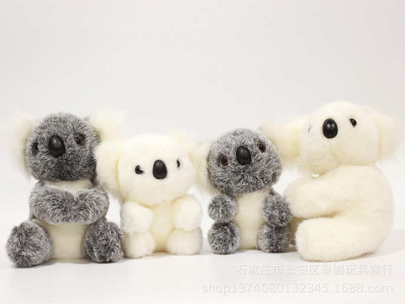 7880a11375abd3edfcd3cf329f5ced