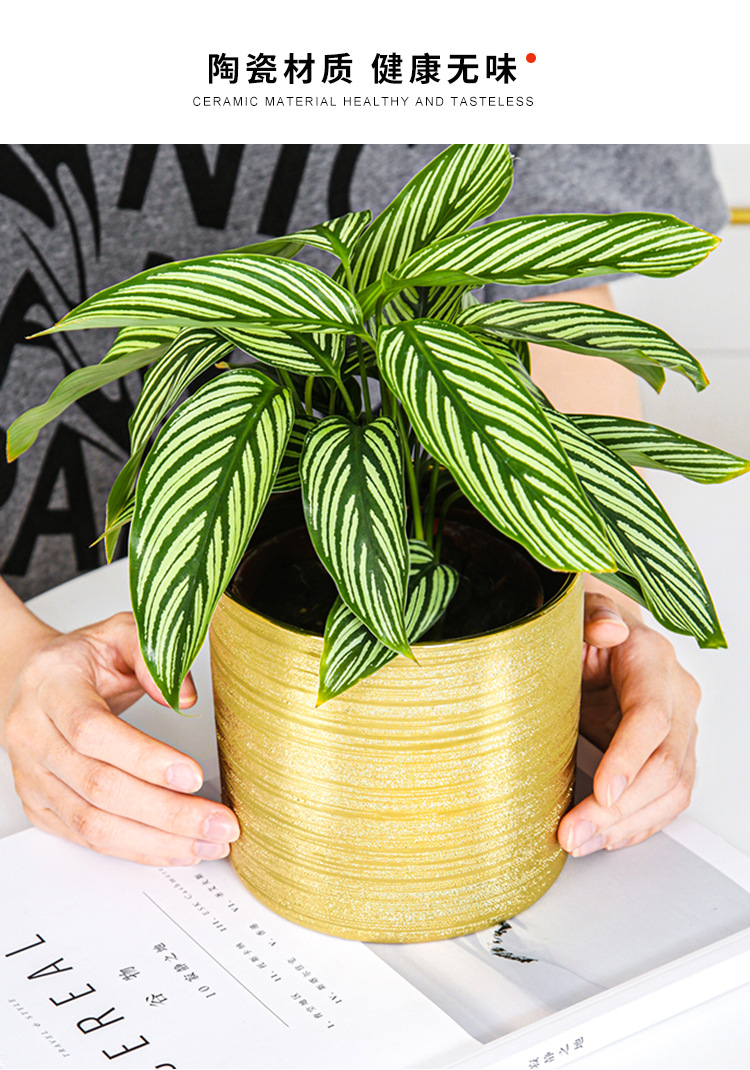Chinagoods Du Qi Hotel supplies: European-style simple and creative ceramic brushed, gold-plated and silver succulent combination export flower POTS, handicrafts and flower vases pic 8