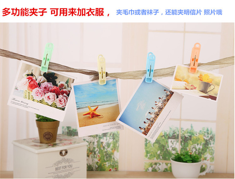 塑料晾晒夹子防风晒衣晒被子裤子内衣衣服大夹子袜子夹被夹晾衣夹详情6