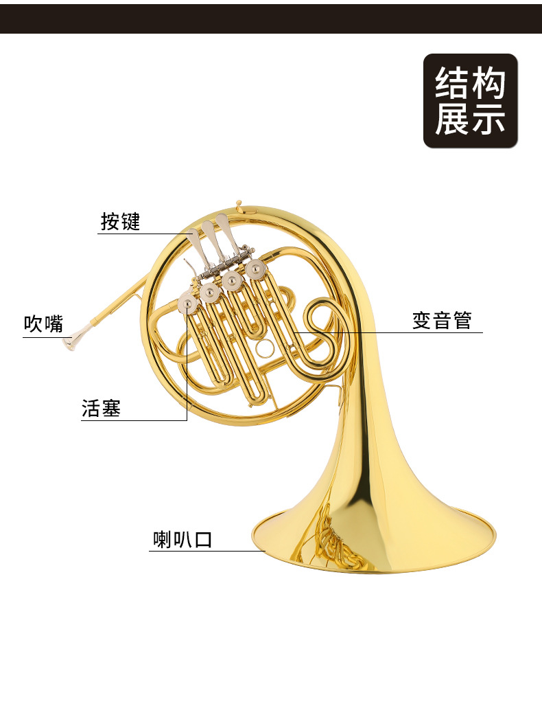 Starway斯达威黄铜管体乐器无铅焊接SDWHR-863漆金一体降B调圆号详情12