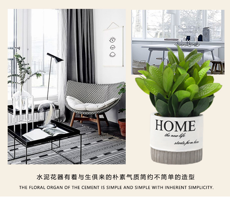 Nordic-style creative small clear cement POTS, artificial plant potted plants, office desk atmosphere decoration and arrangement pic 5