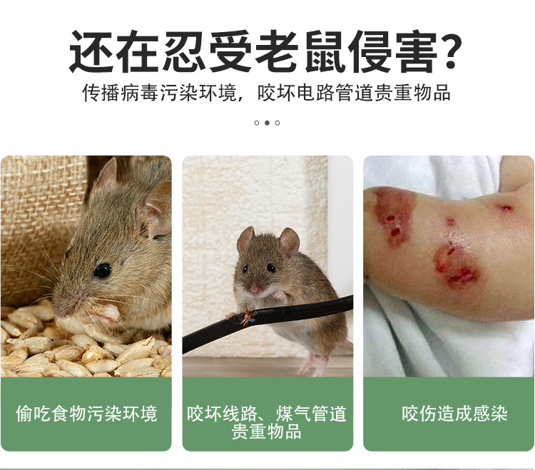 New electronic ultrasonic rat repellent, insect repellent and mosquito repellent, multi-functional cockroach repelling device pic 4