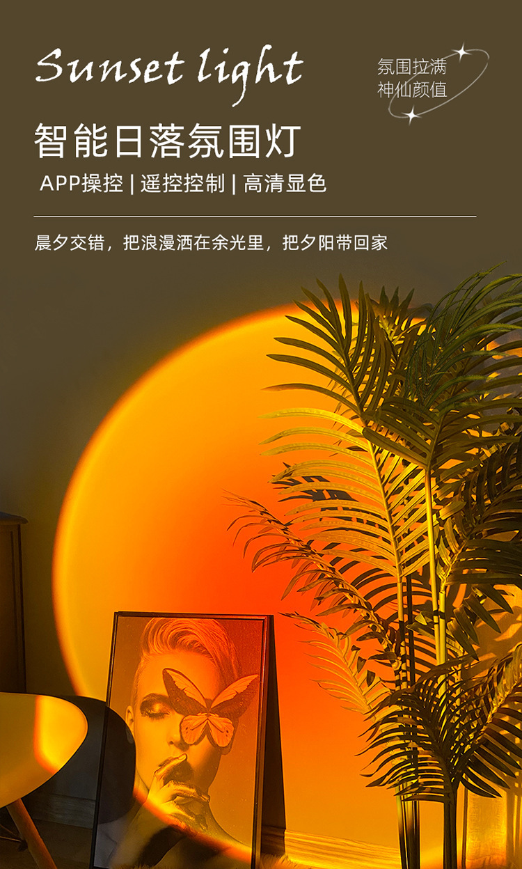 动态水波纹夕阳灯氛围灯双头氛围灯台灯直播间落地灯日落灯装饰灯详情1