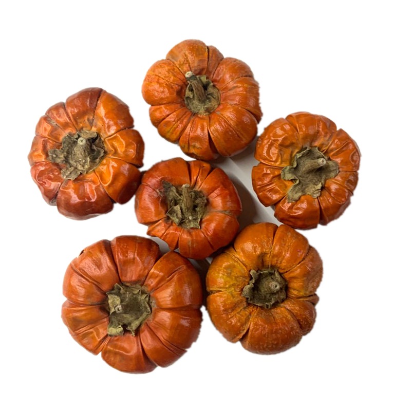Natural plant dried fruits, small pumpkins, flower arrangements, handicrafts, soft furnishings, grass pic 4