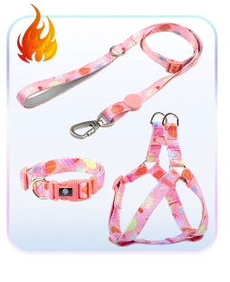 狗狗牵引绳小型犬中大型遛狗绳子渐变色狗链子胸背带宠物用品项圈详情7