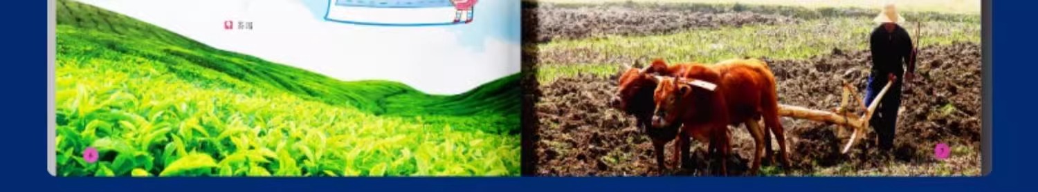 中国少年儿童百科全书全套10册注音版6-8-12岁青少年科普读物详情24