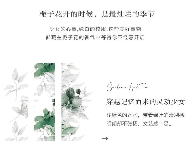 娇柏兰栀子与清茶女士香水50ml清新淡雅自然茶香跨境越南现货批发详情7