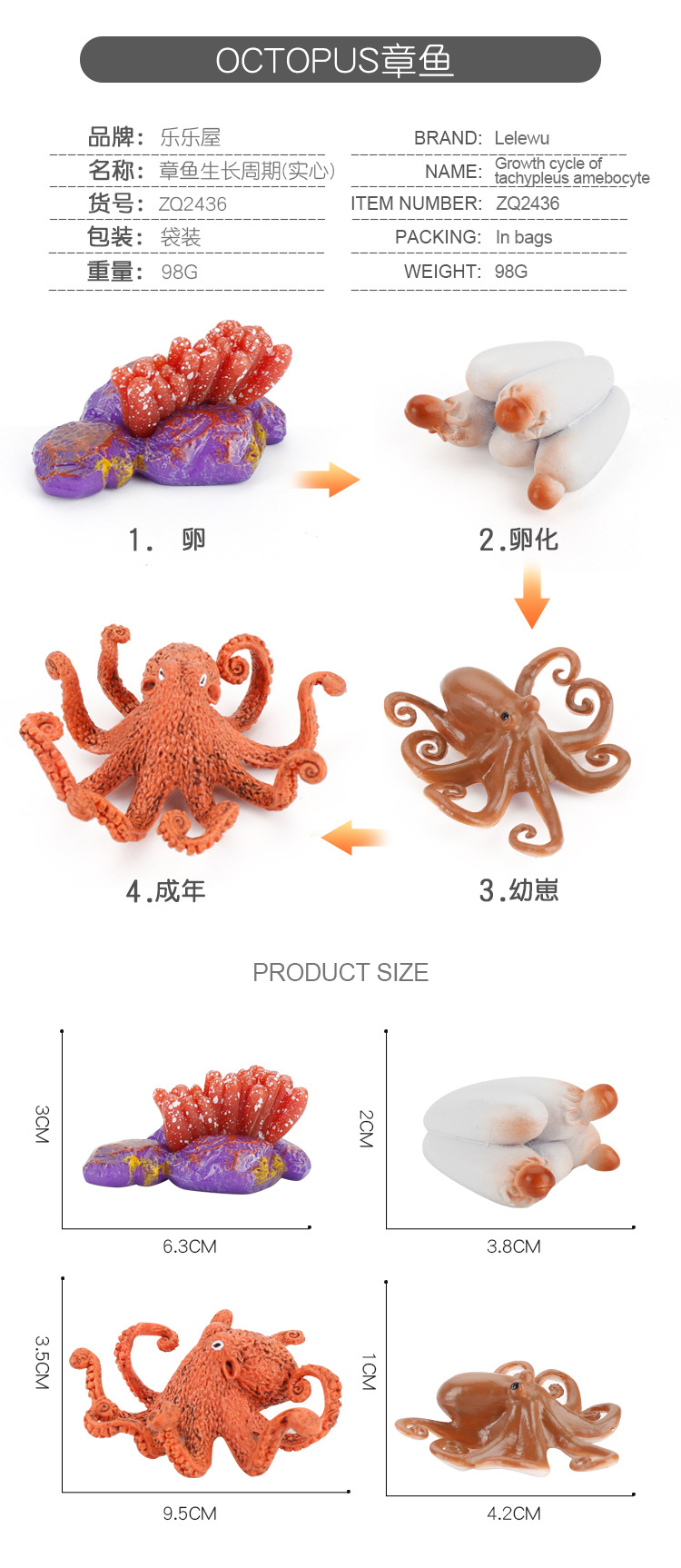 成长周期补款_02.jpg
