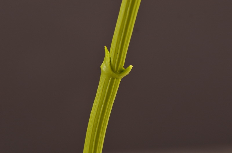 Wholesale of artificial lace and artificial green plants from the original factory, flower arrangement materials, and artificial plants for home, hotel, wedding and decoration pic 21