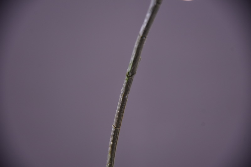 Dongli Flower Industry Factory offers wholesale of artificial apple branches, high-end artificial fruit and berry tables, wedding model room decorations, and photography props in stock pic 12