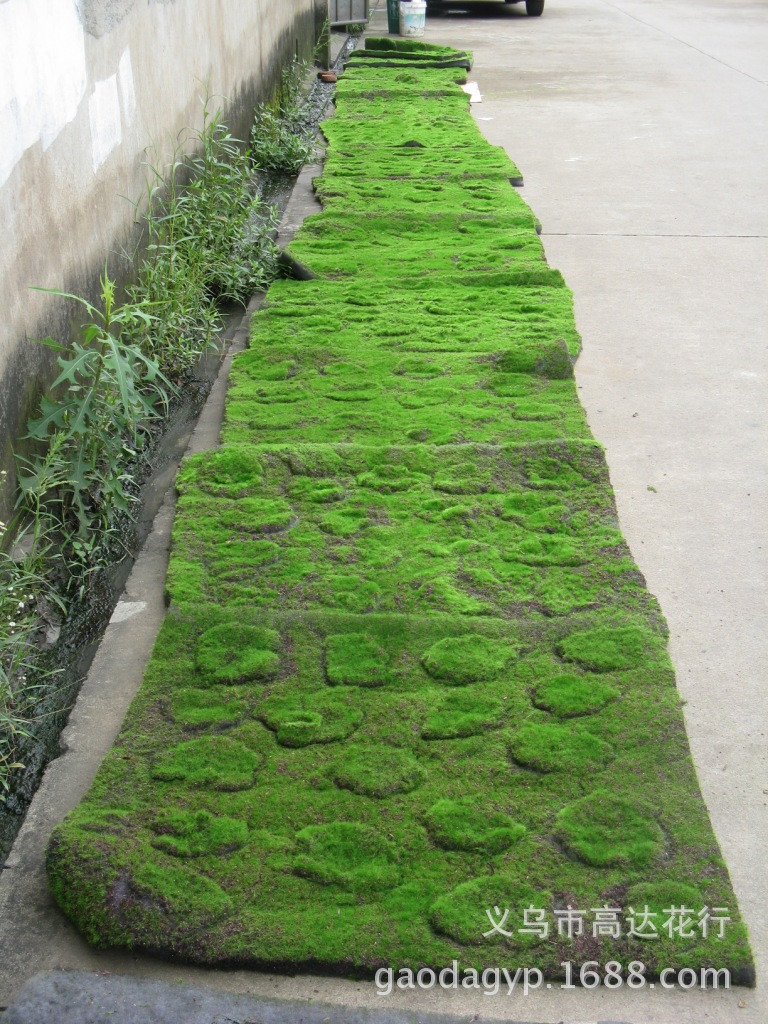 Artificial plant wall, moss skin, plant wall, grass decoration, indoor window display decoration, DIY trendy decoration, lawn pic 23