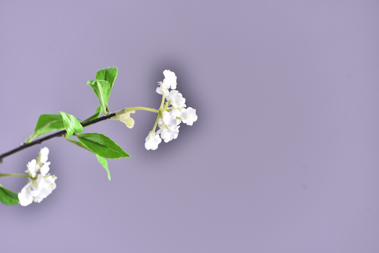 Factory direct sales of high-end artificial handballs, high-end artificial snowball flowers wholesale, modern and simple ins popular decorative artificial flowers pic 6