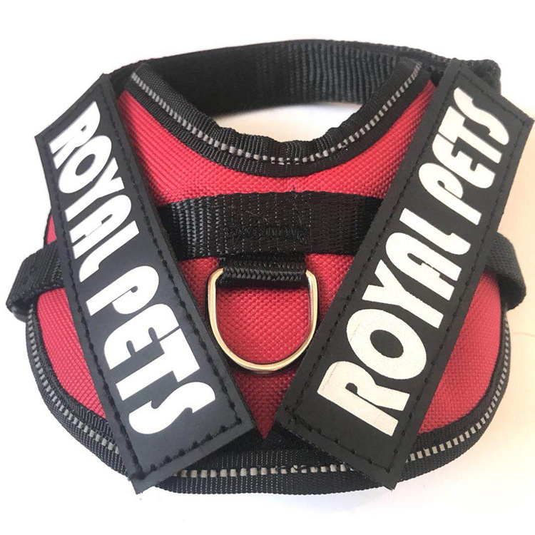 The manufacturer supplies cat and dog pet chest and back straps, leashes, pet dog chains, dog supplies and cat supplies pic 5