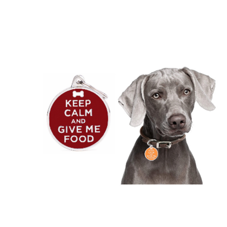 Cross-border new fashionable pet dog brand, metal dog collar, pet cat brand, anti-loss pet necklace, jewelry and accessories pic 1