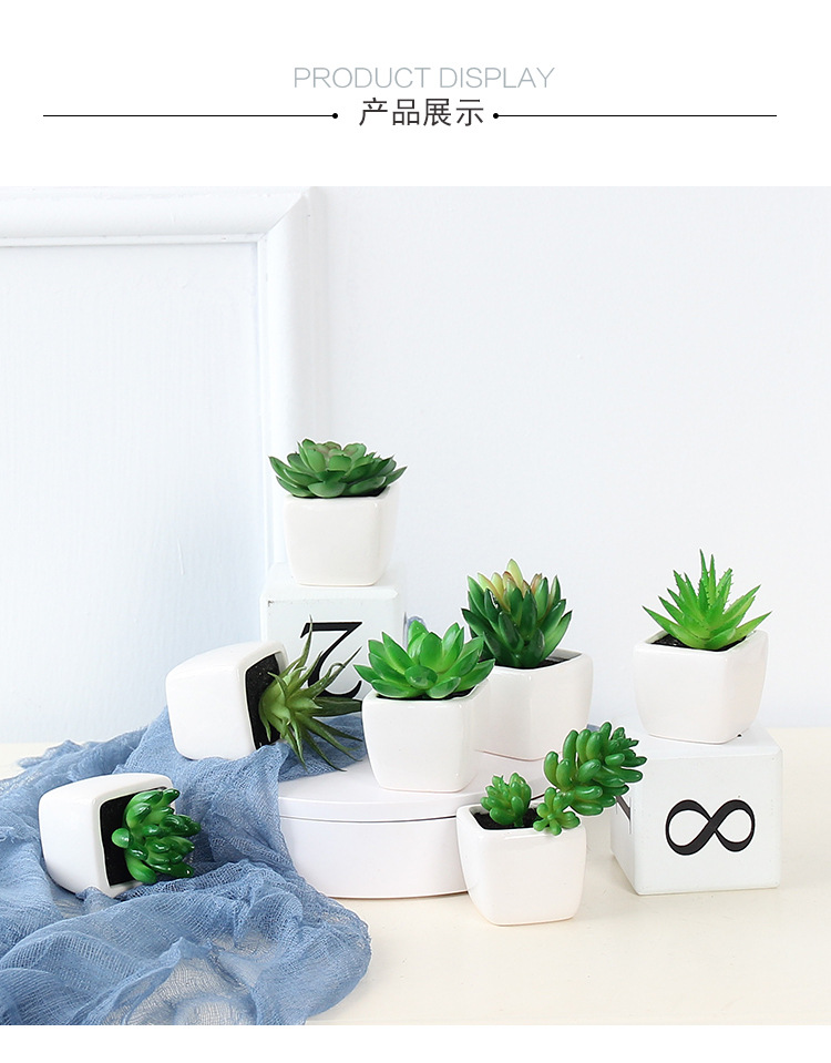 Factory wholesale mini artificial succulent plant potted plants, online store shooting props, desktop office decoration ornaments, artificial potted plants pic 11