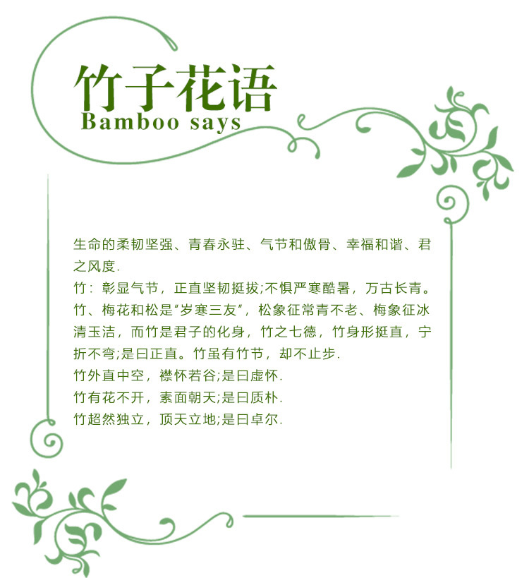 仿真竹子室内装饰加密塑料假竹子隔断屏风室外人造竹仿真植物造景详情2