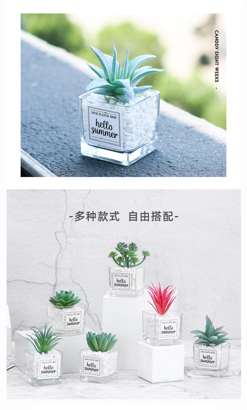 北欧绿植物仙人掌多肉假花装饰摆件客厅摆设办公室桌面小盆栽详情4