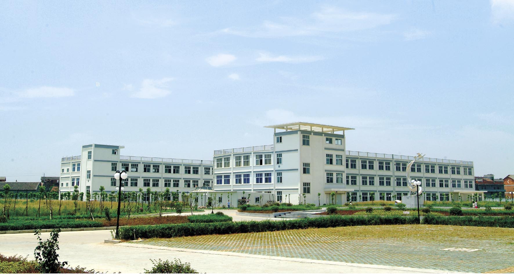 欧美跨境亚马逊新款翻领时尚休闲显瘦牛仔长袖衬衫牛仔外套女详情11