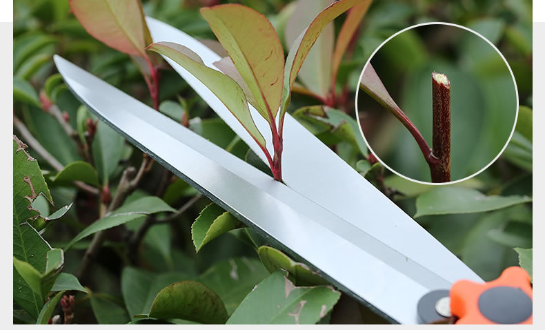 金聚丰绿园艺伸缩绿篱剪粗枝剪高枝修枝剪果树枝绿化花艺园林工具详情16