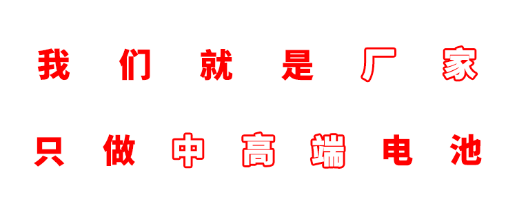 Naite 60204/450mah polymer rechargeable lithium battery with KC certification, fingerprint lock, drone lithium battery pic 2