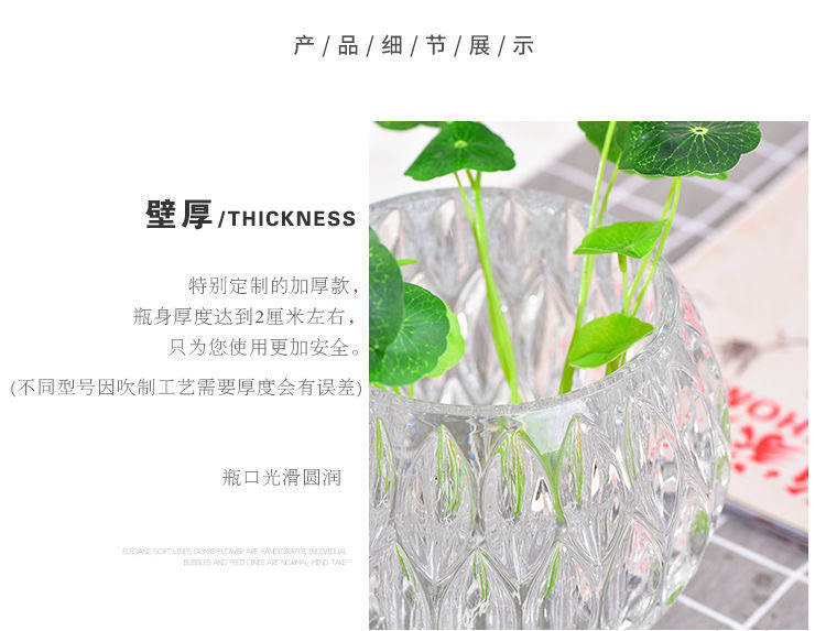 Hydroponic plant glass bottles, round glass vases, transparent green ivy and duck intestines containers, hydroponic flowerpots, vessels and containers pic 5