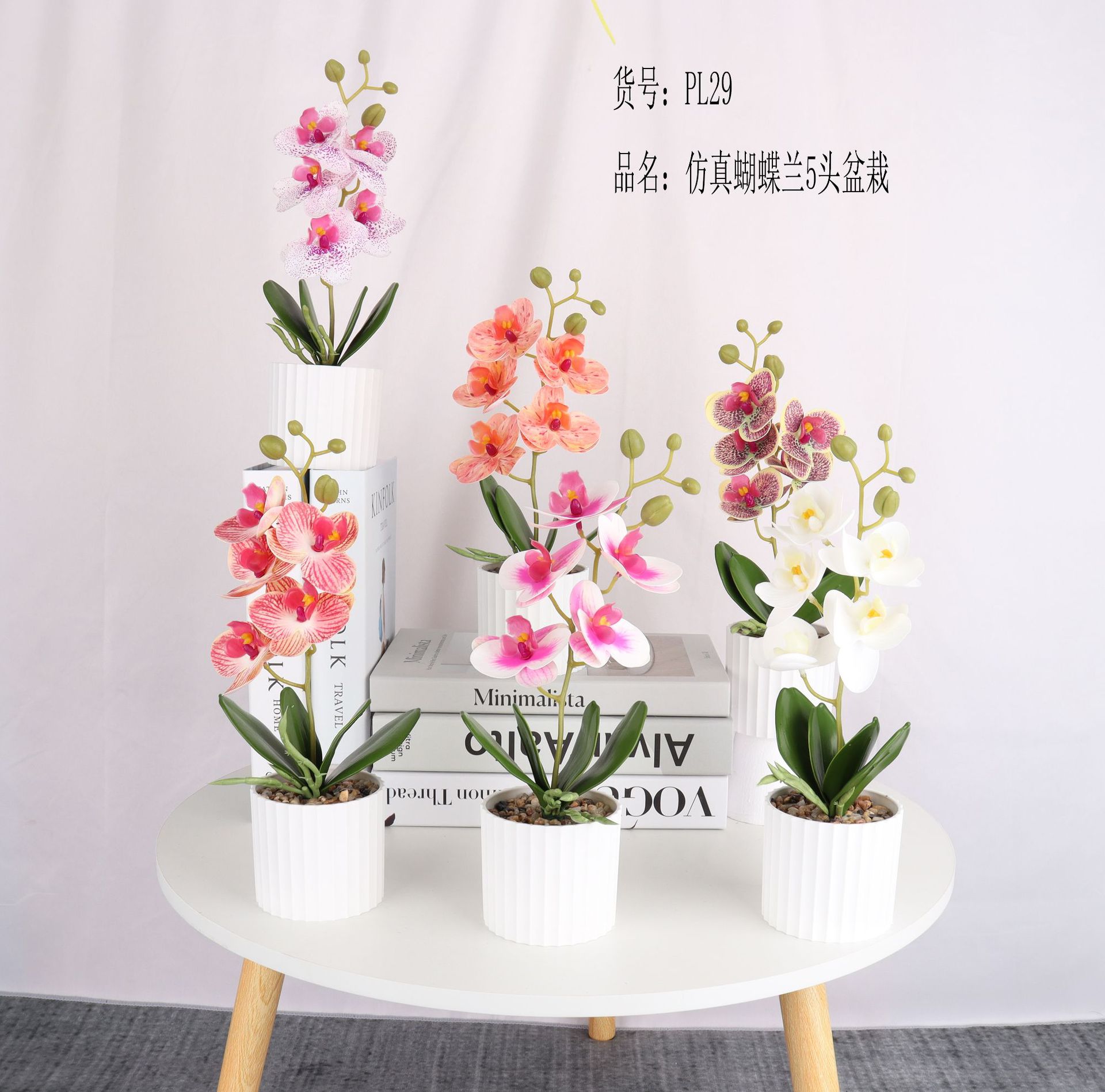 Simulated Phalaenopsis 5-head four-leaf potted plant/simulated bonsai/simulated flower creative indoor small decoration/Amazon factory pic 1
