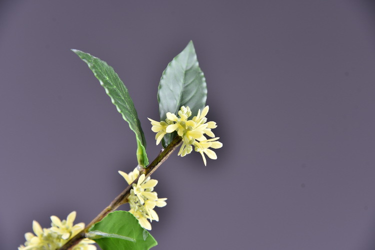 Wholesale artificial yellow osmanthus and laurel, green landscape garden artificial trees, decorative golden osmanthus leaves, home, hotel and homestay artificial flowers pic 30