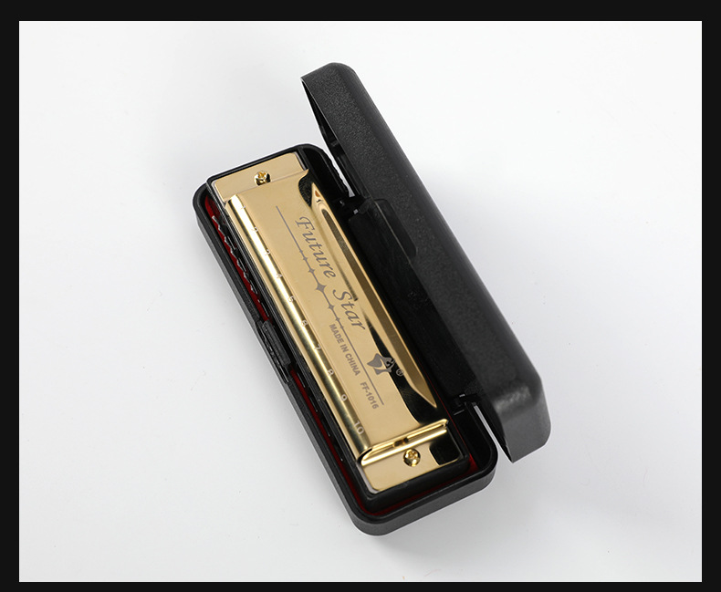 10孔Blues口琴外贸跨境批发塑料盒初学者入门演奏十孔布鲁斯口琴详情12