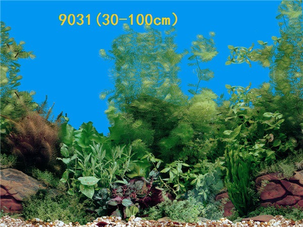 Wholesale production of 60cm high single-sided thin paintings, various ecological aquarium background paintings. Craft paintings. Aquarium equipment pic 54