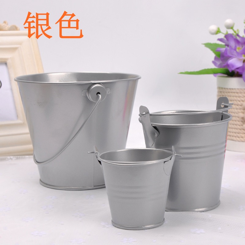 婚庆产品家居装饰摆件金属工艺品迷你铁皮小铁桶 创意马口铁多肉植物花盆详情14