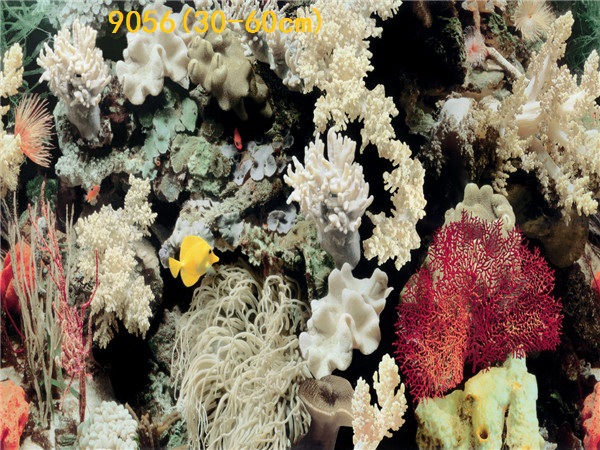 Wholesale export of 50cm high background painting, single-sided thin painting, 3D stereoscopic ecological aquarium sticker paper pic 66